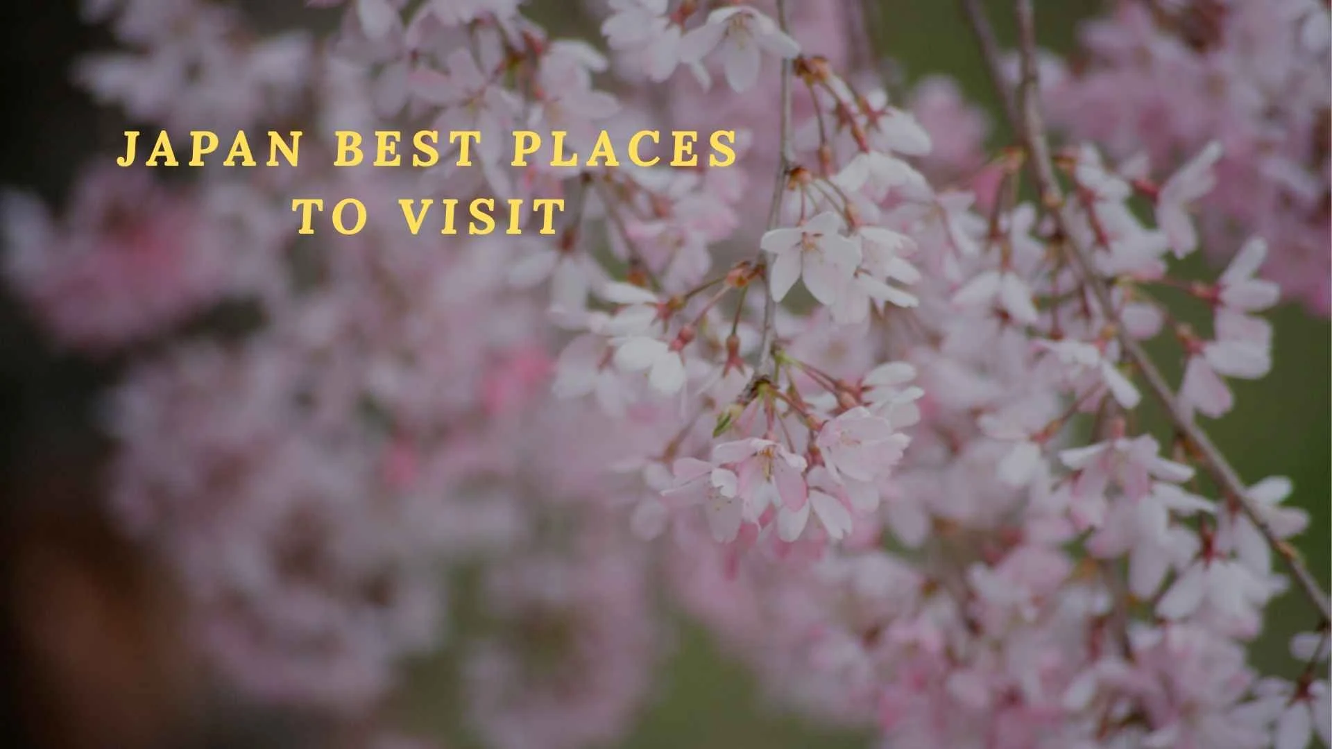 japan best places to visit